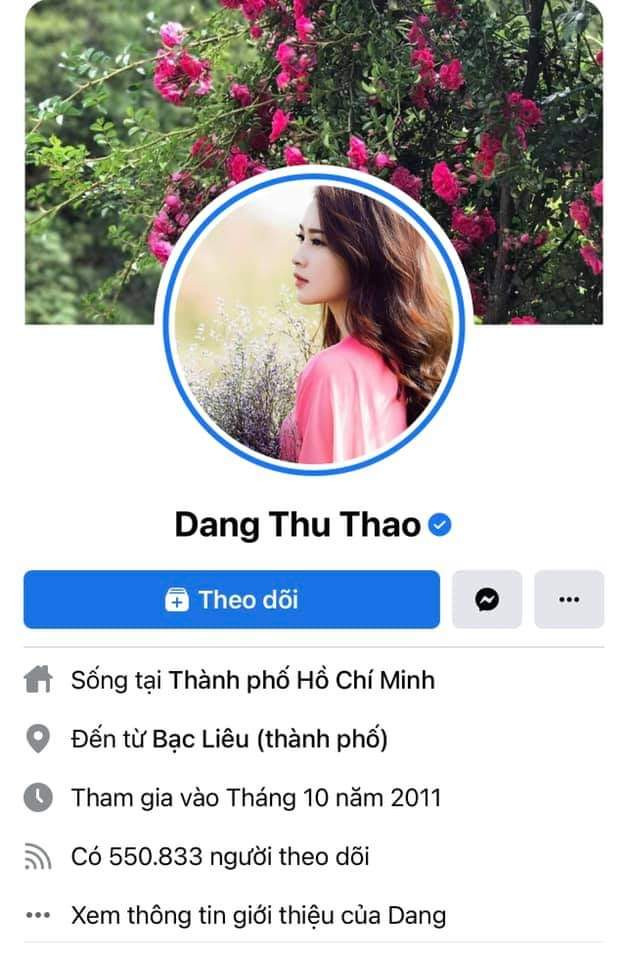 Top 10 Hoa hậu Việt có lượng follow cao nhất, đứng đầu là Hương Giang, kế tiếp là ai? Ảnh 13