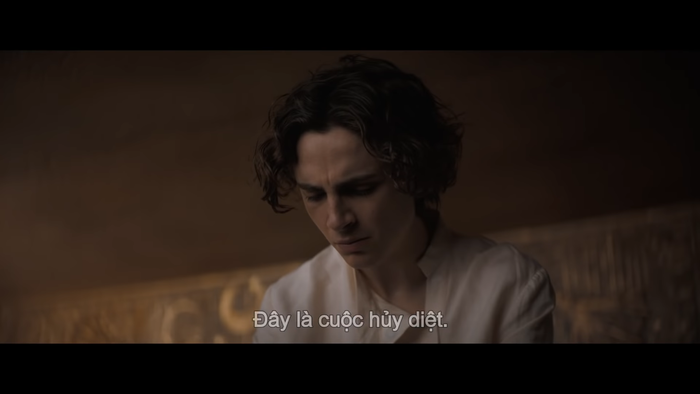Timothée Chalamet 'lột xác' đầy ngoạn mục bên cạnh dàn sao Hollywood khủng trong phim 'Dune' Ảnh 30