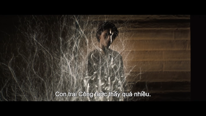 Timothée Chalamet 'lột xác' đầy ngoạn mục bên cạnh dàn sao Hollywood khủng trong phim 'Dune' Ảnh 29