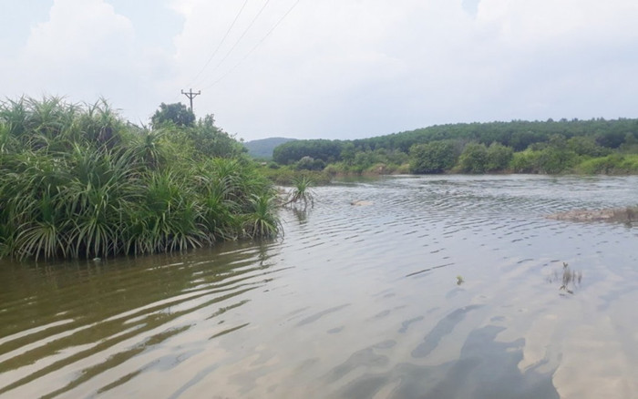 Phát hiện 1 thi thể nam giới trong đầm nuôi cá ở Quảng Ninh Ảnh 2