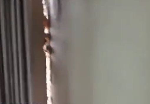 Căn nhà nứt toác ra, không che nổi gió.