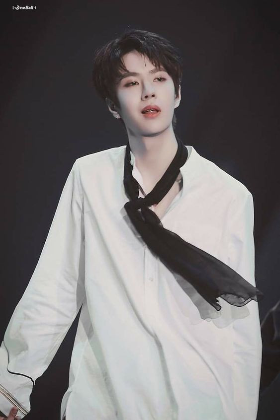 Vương Nhất Bác chuẩn bị ra đĩa đơn mới, liệu có 'biển xanh lá cây' tại sân khấu? Ảnh 5