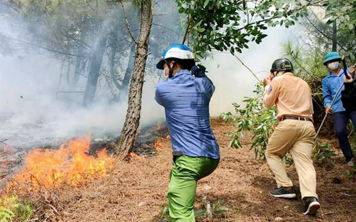 Thi thể người đàn ông được phát hiện giữa vườn keo sau vụ cháy lớn Ảnh 2