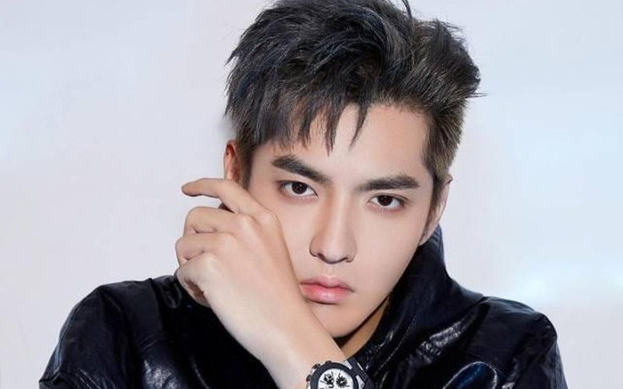 Hóa ra người báo án, gián tiếp khiến Ngô Diệc Phàm bị tạm giam lại là... mẹ nam ca sỹ Ảnh 2