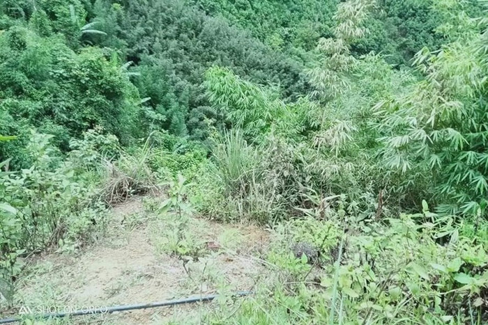 Hiện trường xảy ra vụ việc.