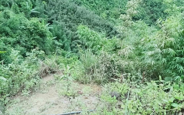 Người đàn ông tử vong sau tiếng nổ lớn trong lúc đang đi sửa ống dẫn nước ở Yên Bái Ảnh 2