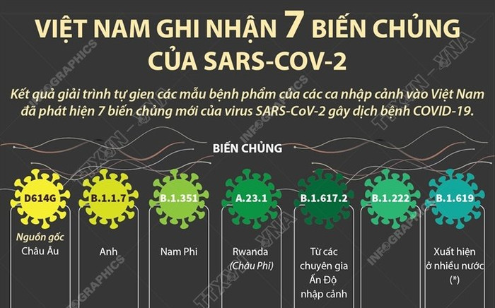 Đã có 7 biến chủng của virus SARS-CoV-2 ở Việt Nam, cần nâng cao cảnh giác hết mức Ảnh 2