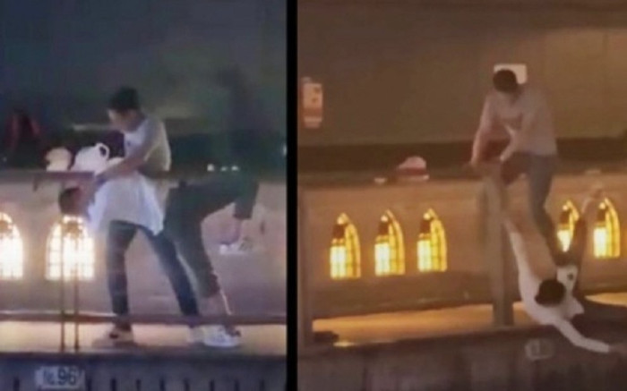 Người thân của thanh niên tử vong ở Nhật: 'Mẹ anh ấy vẫn chưa chấp nhận được sự thật đau đớn này' Ảnh 2