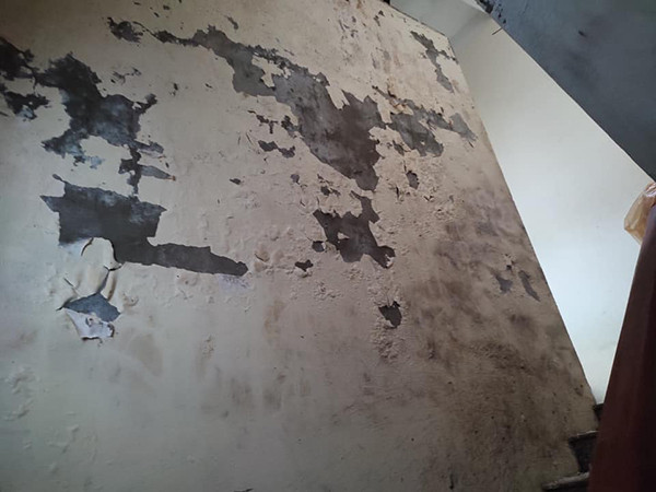 Cả mảng tường bong tróc, mốc meo vì thấm nước. 