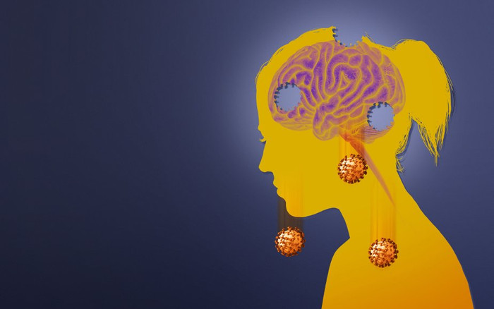 COVID-19 ảnh hưởng tới trí thông minh như thế nào? Ảnh 2