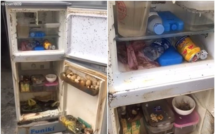 Trở lại thành phố sau thời gian dài tránh dịch, cô gái tá hỏa khi thấy cảnh tượng bên trong chiếc tủ lạnh Ảnh 2