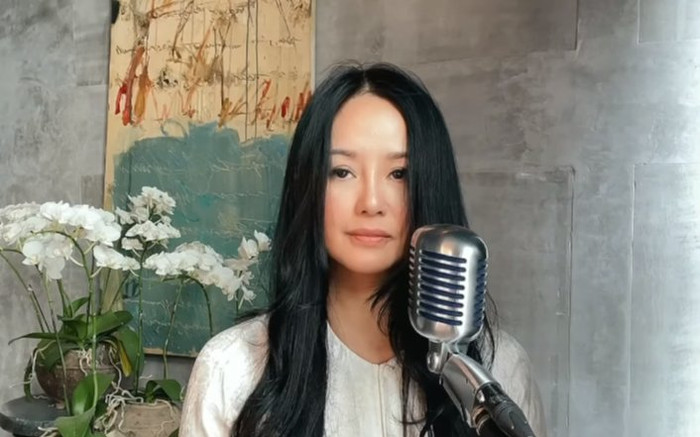 Diva Hồng Nhung bị soi 'sống ảo' khiến gương mặt khác lạ nhận không ra Ảnh 2
