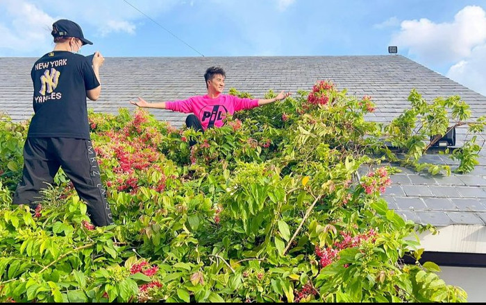 Đàm Vĩnh Hưng hé lộ hậu trường quay MV tại nhà mùa dịch theo cách vô cùng 'khó đỡ'! Ảnh 2