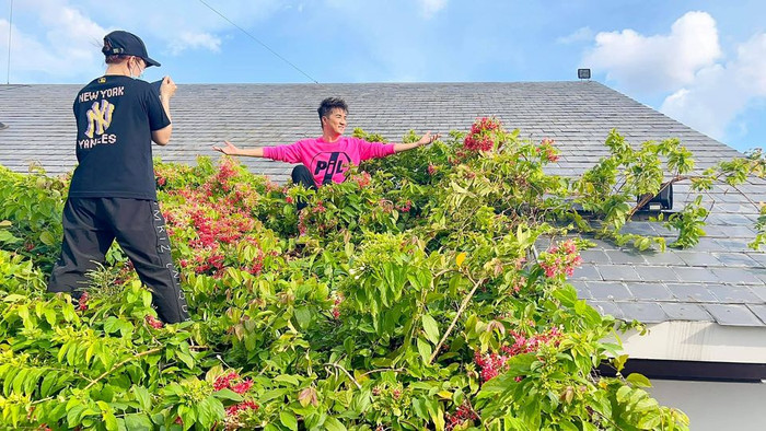 Khoảnh khắc hậu trường MV tuy đơn giản của Đàm Vĩnh Hưng nhưng lại khiến dân tình vô cùng thích thú. 