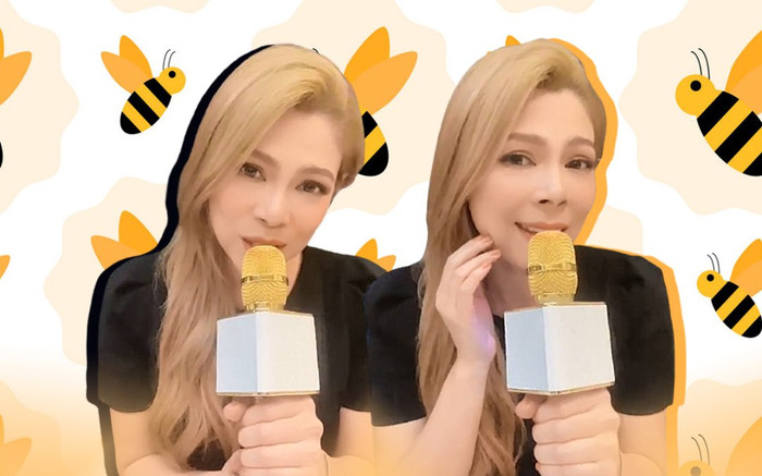 Sau loạt hit nhạc trẻ, Thanh Thảo tiếp tục nhận mưa gạch đá với trend 'Chị ong nâu' Ảnh 2