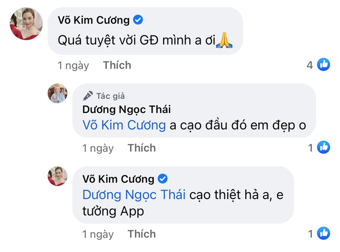 Bà xã Ưng Hoàng Phúc tưởng Dương Ngọc Thái sử dụng app.