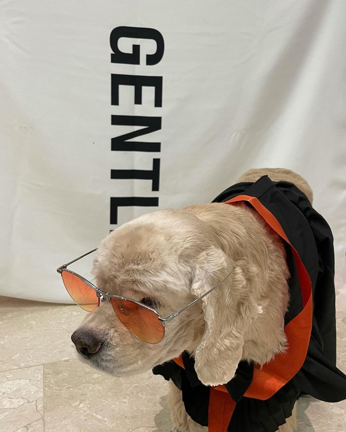 Chú chó còn lại cũng được Jennie đeo lên mặt và ngồi yên cho cô chụp ảnh