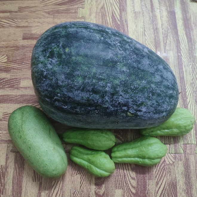 Đặt bên cạnh mấy quả su su, kích cỡ 'khổng lồ' của quả bí đao 'nhỏ' càng khiến cư dân mạng cười không ngớt. Ảnh: Tran Trung Hieu