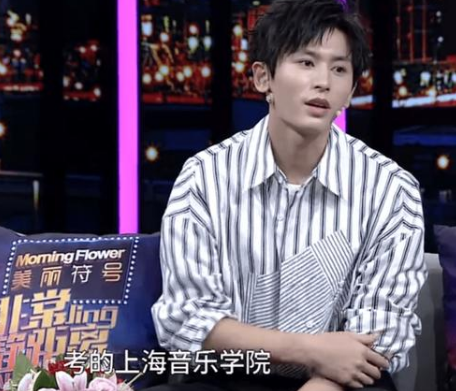 Thực hư việc Trương Triết Hạn đi cửa sau để được vào học trường nghệ thuật? Ảnh 4