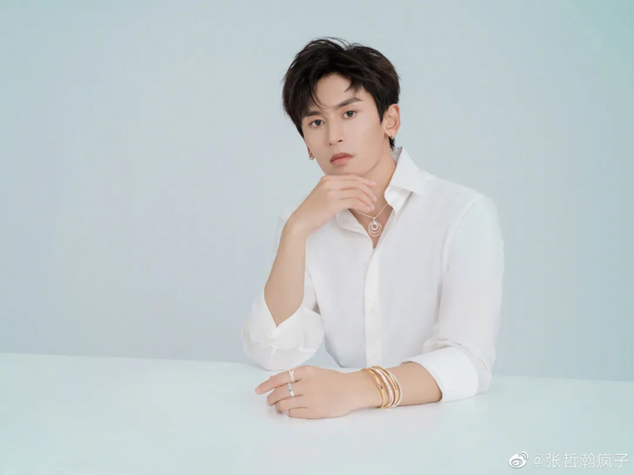 Thực hư việc Trương Triết Hạn đi cửa sau để được vào học trường nghệ thuật? Ảnh 5