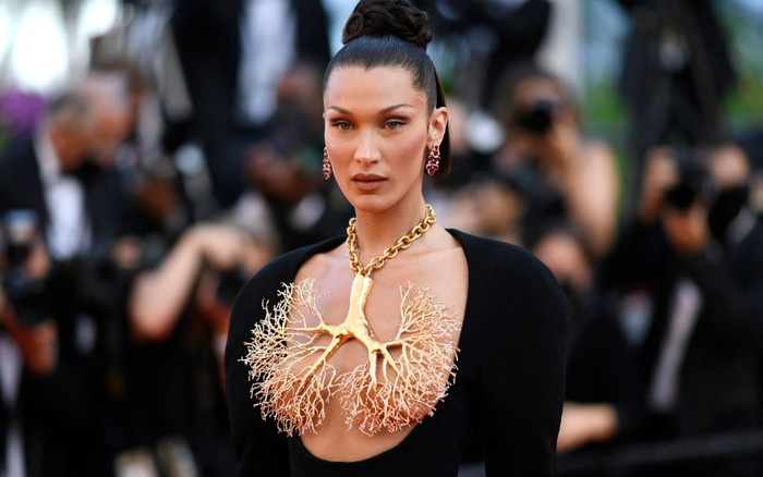 Bella Hadid toát mồ hôi hột vì che ngực chỉ bằng chiếc vòng cổ trên thảm đỏ Cannes Ảnh 2