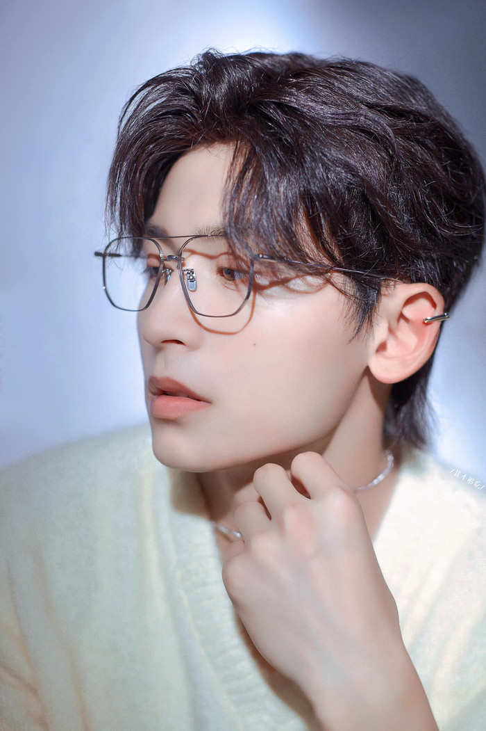 Sự nghiệp thăng trầm của Trương Triết Hạn trước scandal: Vất vả 10 năm, chưa lên đỉnh lưu đã ngã ngựa Ảnh 4