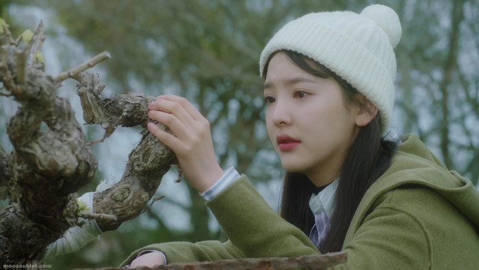 Điểm mặt loạt mỹ nhân Hoa ngữ từng 'bén duyên' với Trương Triết Hạn trên màn ảnh Ảnh 18