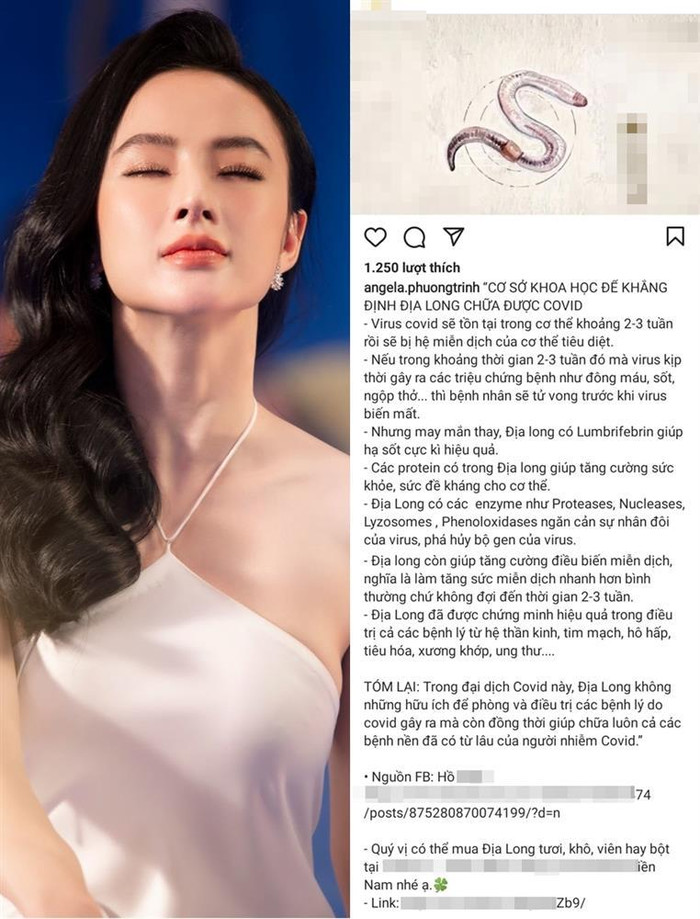 Bài đăng của Angela Phương Trinh về cách chữa Covid-19 bằng Địa long
