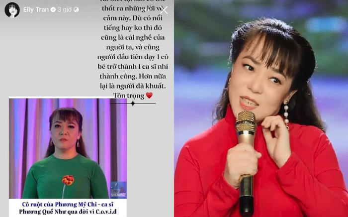 Elly Trần 'nổi đóa' khi anti-fan thiếu tôn trọng nghệ sĩ đã khuất Ảnh 2