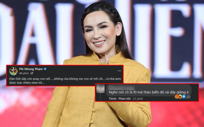 Rủ fan đếm view MV, Phi Nhung không quên đáp trả cực căng khi bị mỉa mai nghi vấn F0 Ảnh 2