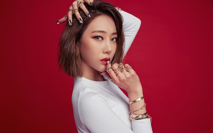 Thành viên nhóm nhạc Hàn Quốc bị vạch trần chuyện lén kết hôn khi mới ra mắt, hiện tại làm thủ tục ly hôn Ảnh 2