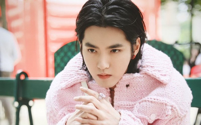 Rộ tin Ngô Diệc Phàm đã kết hôn, thậm chí còn có con trai được 2 tuổi! Ảnh 2