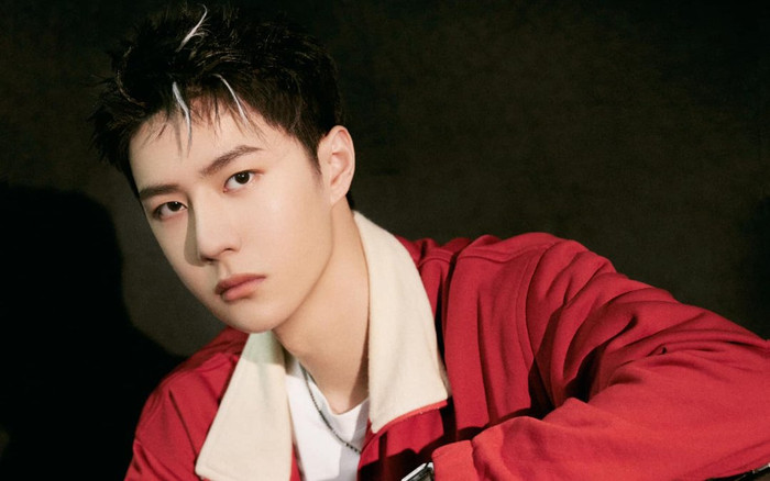 Chi tiết mới về vụ việc Vương Nhất Bác bị cài định vị vào xe: Hai fan cuồng đã bị tạm giam Ảnh 2