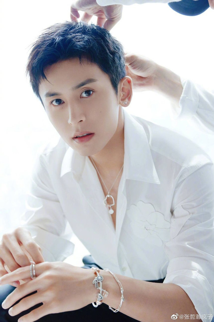 Số phận y chang Ngô Diệc Phàm, Trương Triết Hạn bị Douban, B trạm xoá sạch triệt để Ảnh 4