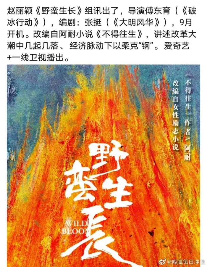 Fan Triệu Lệ Dĩnh đồng loạt đổi avatar, phản đối gay gắt thần tượng tái ngộ Vương Nhất Bác Ảnh 4