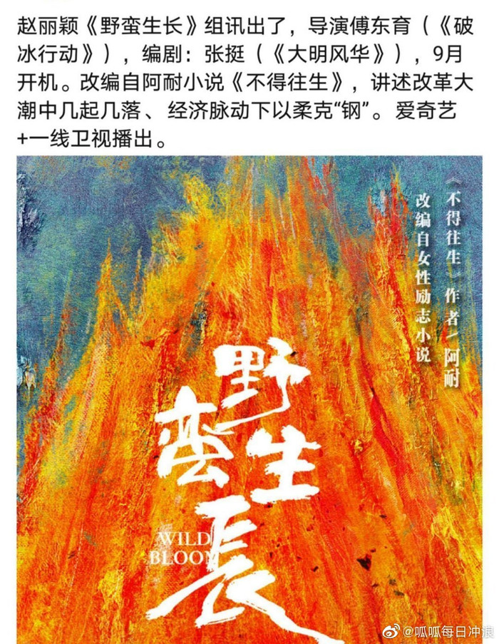 Studio Triệu Lệ Dĩnh kêu gọi fan lý trí, Douban 'Dã man sinh trưởng' xác nhận nam chính là Vương Nhất Bác Ảnh 4