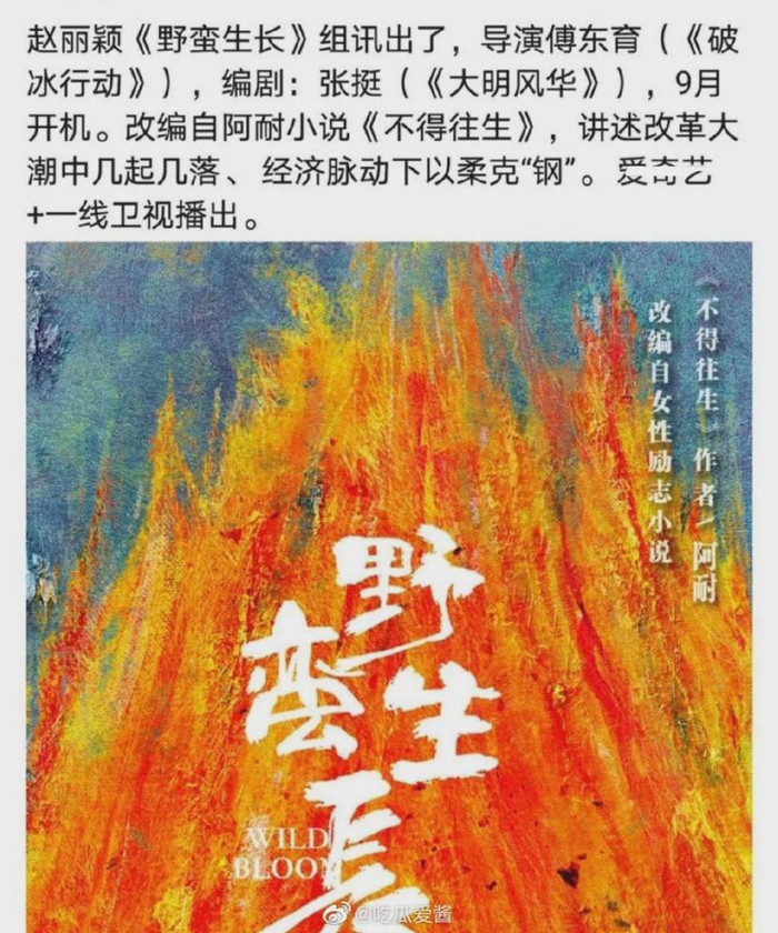 Fan Triệu Lệ Dĩnh tẩy chay Vương Nhất Bác, phản ứng của Cnet: 'Khéo cả hai yêu thật cũng nên' Ảnh 4