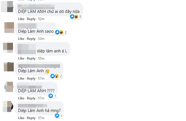 Cư dân mạng bàn tán xôn xao trước thông tin Diệp Lâm Anh ly hôn.