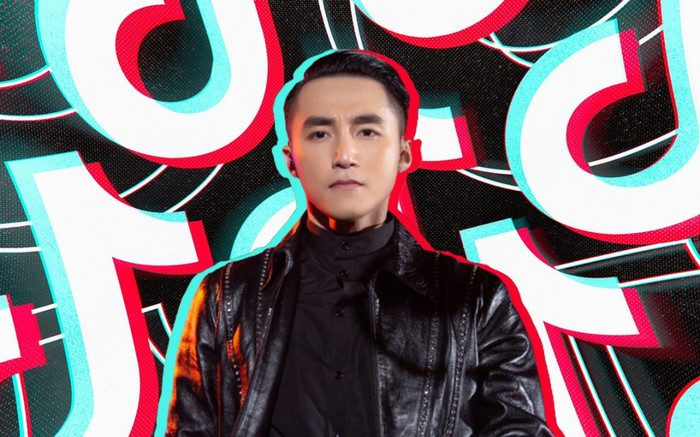 Sơn Tùng trở thành nghệ sĩ Việt Nam đầu tiên sở hữu cột mốc đặc biệt trên Tik Tok Ảnh 2