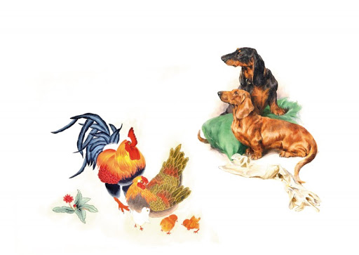 Dần và Tuất là một trong 3 cặp con giáp không nên lấy nhau. 