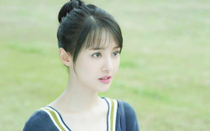 Trịnh Sảng chính thức bị phong sát Ảnh 2