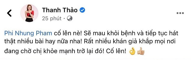 Thanh Thảo 'dằn mặt' anti-fan mỉa mai giữa lúc Phi Nhung bị Covid-19: Đừng hả hê, cười cợt Ảnh 2