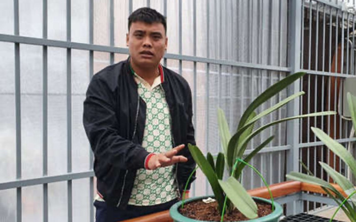 Đại gia lan đột biến nổi tiếng với thương vụ giao dịch hàng trăm tỉ đồng vừa bị bắt vì buôn than lậu Ảnh 2