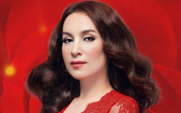 Quản lý Phi Nhung bức xúc vì nữ ca sĩ bị đồn đã mất, 'dằn mặt' một vài nghệ sĩ 'tay nhanh hơn não' Ảnh 2