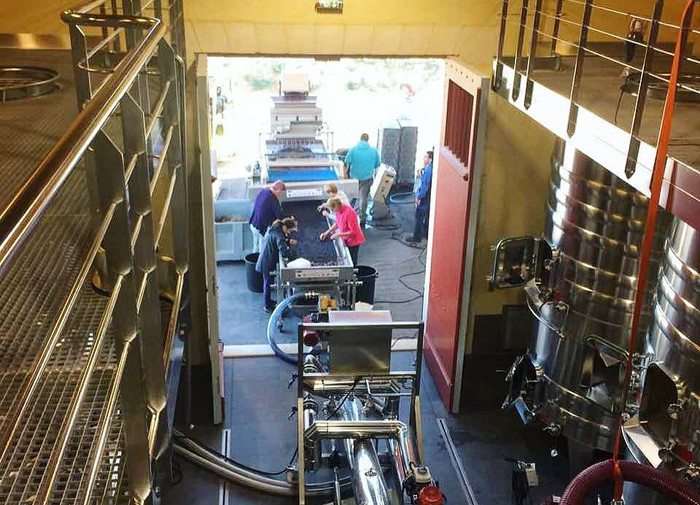 Cận cảnh nhà máy rượu xịn sò của vợ chồng Triệu Vy 