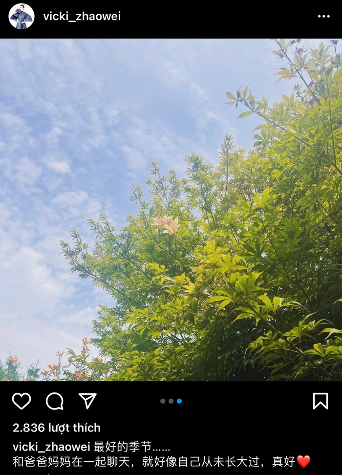 Động thái mới của Triệu Vy hôm 29/8.