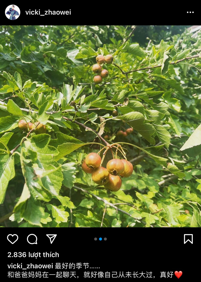 Giữa ồn ào, Triệu Vy bất ngờ bất có động thái mới khiến netizen tranh cãi Ảnh 2