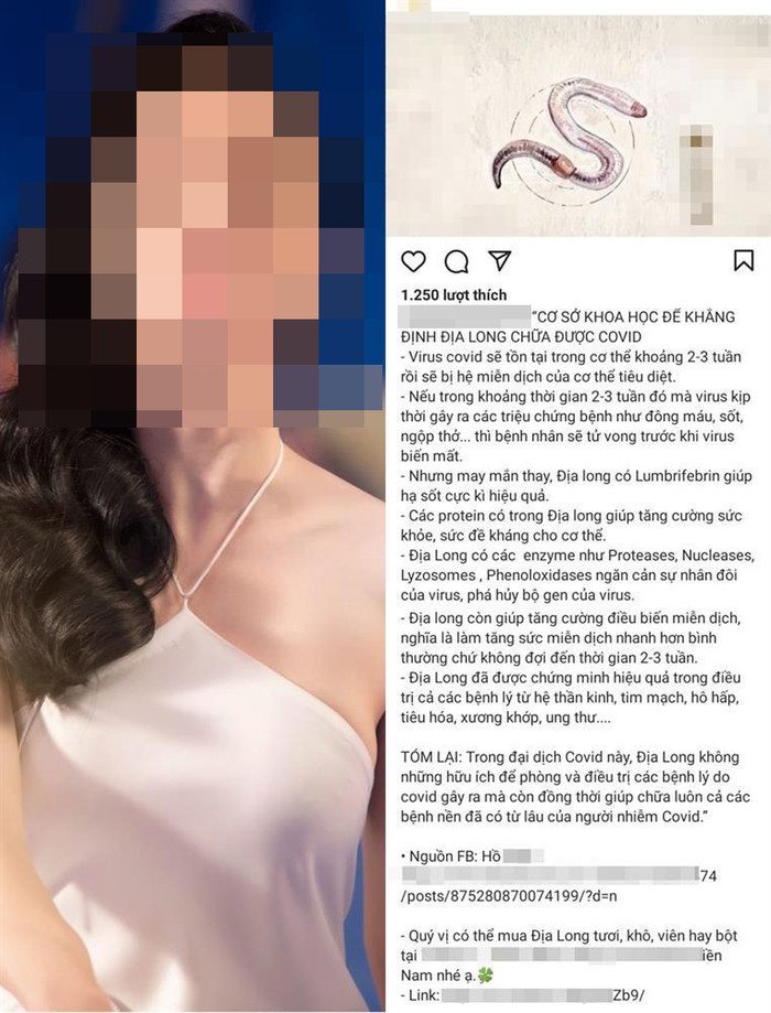 Nhiều bài đăng chia sẻ về công dụng của giun đất trong điều trị Covid-19 gây hoang mang dư luận