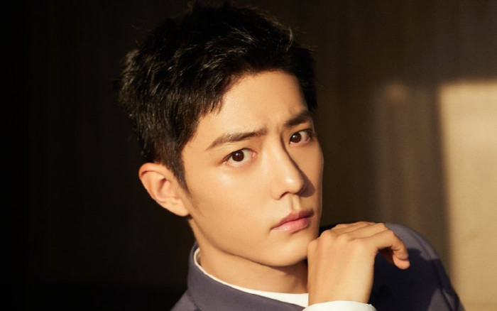 Tiêu Chiến liệu đã đủ khả năng để đảm nhận cái mác 'diễn viên'? Ảnh 2