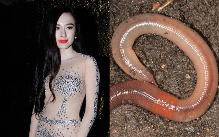 Trước khi ăn địa long, Angela Phương Trinh nhiều lần bị la ó về trang phục phản cảm Ảnh 2